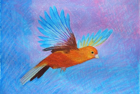 Canary