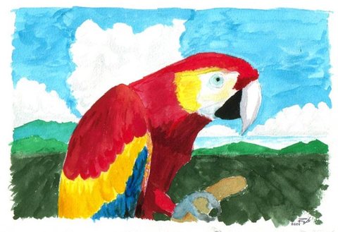 Guacamaya #1