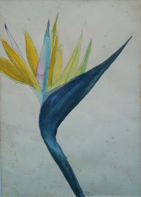 Flor tropical