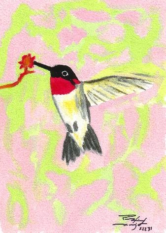 Colibrí #2