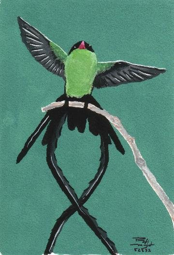 Colibrí #3
