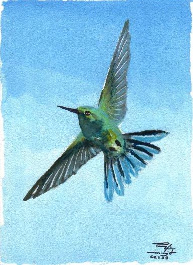 Muŝbirdo #4