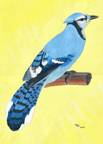 Azulejo