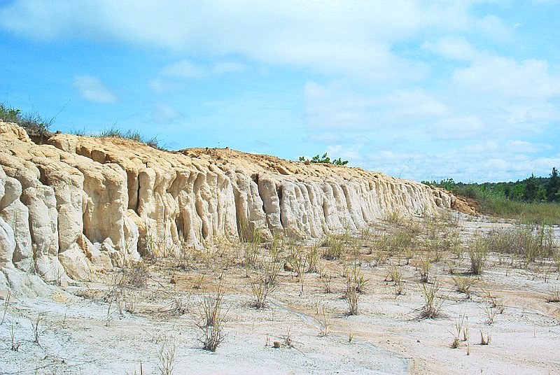 Paisaje seco