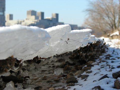 Frostiĝinta riverbordo